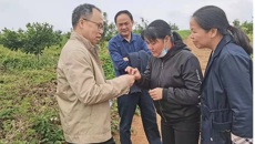 beat365平台官方网站药学院黄荣韶教授应邀到崇左市调研指导中药材产业
