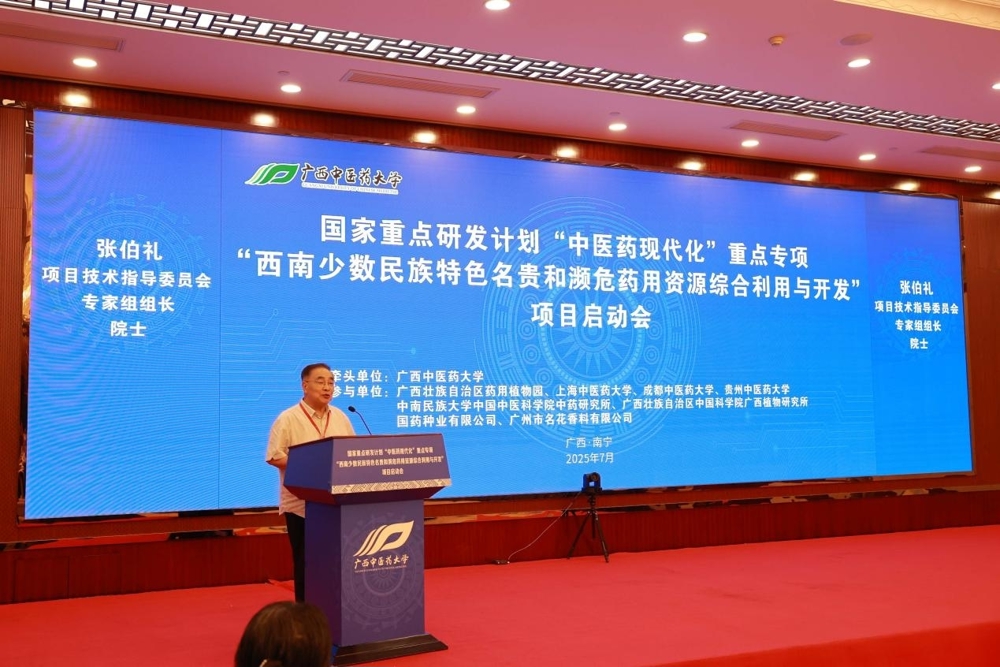 图片6