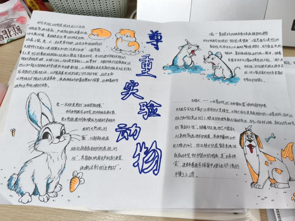 添加图片描述